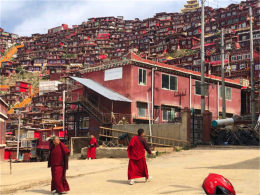 ��ɽ��Ұ�ĺ췿�� �������������֮��