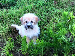 �¾����ų����� ����2����ת����С����