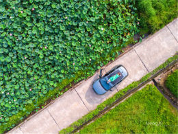 �ڴ��Ѿõ����� ̽ѰС��֮����������