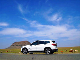 ������ԭ��������������� ����������