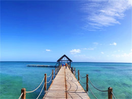 �������� �������� ���֪��Ϊ����ԭ��