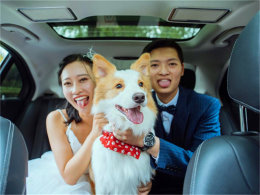 �ȳ������ϳ� ��Ƥ�������㼼�ɴ����