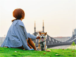 ���ݸ�Լ��� ����ܲ�֪����С�ھ���