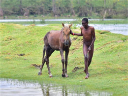 ���ܴ�Խ�������� �ҵĶ����������ռ�