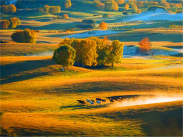 ҡ�³����ó����� ������ͳ�ļݳ�֮��