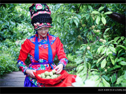 Ǽ�ǵ��� ���ۻ� ��ժ�� ���ͺ� ����ѩ