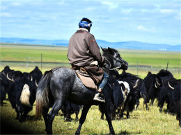 �����������Ȼ �������״����������