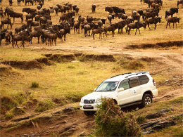 �ٴ��Լݿ����� ����Ϧ���µĳ��붯��