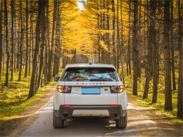 �ܹ���ԭ��·�Ķ� �Ҹ��徻�ظ�������