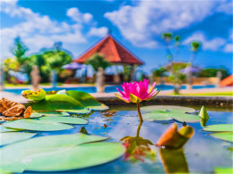 �ý��������嵺 �߸��Ժ����Ŀ̰�ӡ��