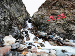 �ó����׽���Ƭ��ص��̲ݡ���ɳ����ʯ