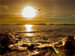 ������ �ﳵС������ �������ĺ��߷��