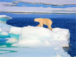 �������򼫵�  ����ѩ�������������