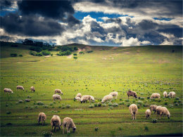 ����������̼�֮�� ����С���ӵĹ���