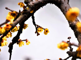 ���� �ɶ���֮����&�Ÿ�����&��խ����