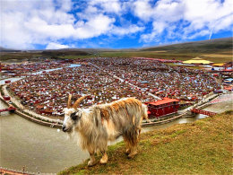 ����ɽ��������� ������ԭ ѩɽ�ݵ�