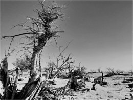 ����Ӱ��ȥ������ �������׷��̫����