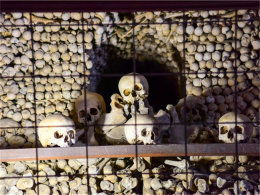 �ֲ���η�� ȥ�ݿ˿��˹ǽ��� ��������