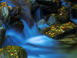 ϲ������15�� 2018�ҵ�������ͼ�ܽ�ƪ