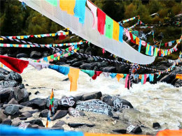 ������������ ��������������������