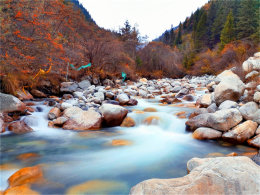 ��������ī���� ��ˮ&��ű�������֮��