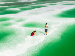 ���Ÿ���ڼ�����  �ຣ��ȸԾ�Ŀ־�