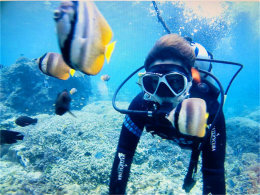 ���ɹ���ϲ�� С���¿������嵺֮��