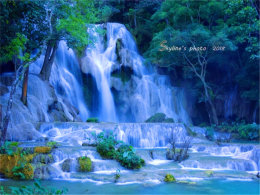 �������� �������� ����-�Ų�����-����