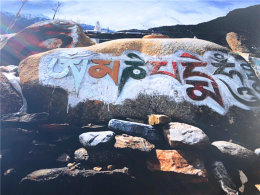  ���� �������� 600��Ǯ�ɹ�ȥ������ϲ