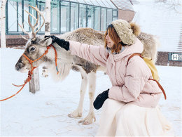 �ҵ����ֽС��ס� ������ʮ�ղ������