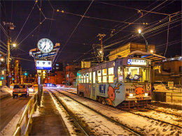 2019���������� ���������������ѩ