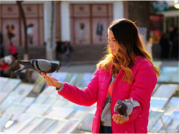 ��ĩ�������� ��ʲ�ɽ�ͷ���� ������