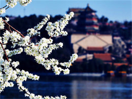 ���ϻ����ɶ���� ��������������һ�