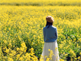 ������ƽ ���ߺ� ���� ���ݶ�ʮ�ĵ���