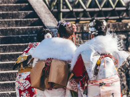 ������ӡ�� ��ѩ�׷ɵı�����&��������