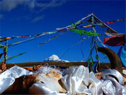 �ٴ�̽Ѱ�������� �����Ϊ�������