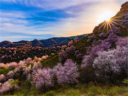 ���� ������ľ�������� ���¶������ӻ�