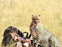 ������֮�� ���������Ұ�����������