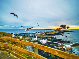 ����һ��  �����յ��ͺ�Ÿ�Ļƻ�֮��