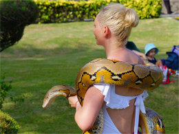 �Ժ�����ˮ ���ΰ��嵺--�����Ӿ�ʢ��