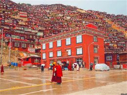 ��������ɫ�� ����һƬ��췿��������