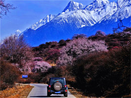 ��һ���ٴ�ĺ�ˮ ���������֮زز