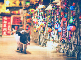 �������������  ��������֮�ϣ�����