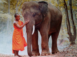 �����Ų����� ��ʩɮ��������ǧ���