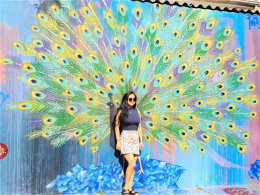 ������ɫ��Ϳѻ  ����ʥ������������