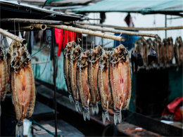 qiong�θ��� �����ִ��ģ���Ĺų�ǽ