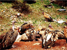 ���˵����г�9926���� �ڰ˴ν����Լ�