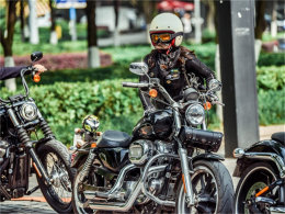 ���Բʷ��Ĺ��׽�� �������δ����ĵ�