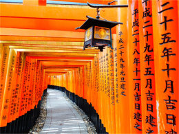 ��������������� ����ȥ��������5��