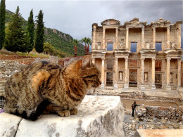 ����������𺳵Ĺ��� ������ӡ�����